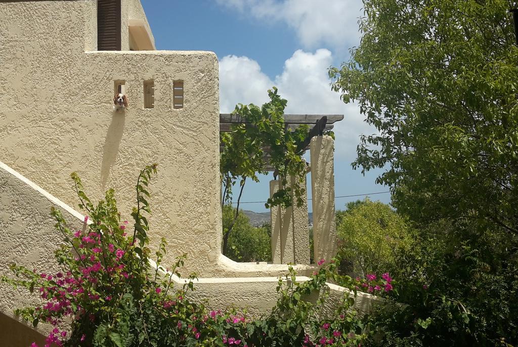 Ζini 2 Villa เคฟาลอส ภายนอก รูปภาพ